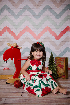 Shooting navideno 2013-2-2525