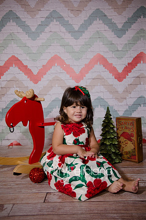 Shooting navideno 2013-2-2530
