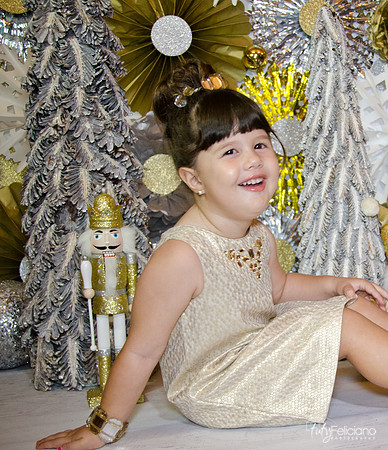 navidad 2014-2401
