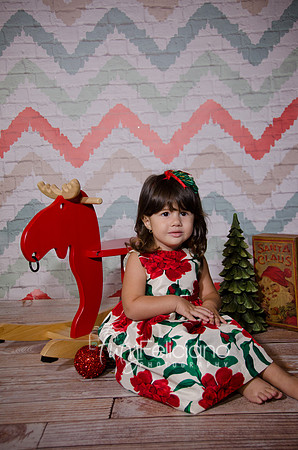 Shooting navideno 2013-2-2527