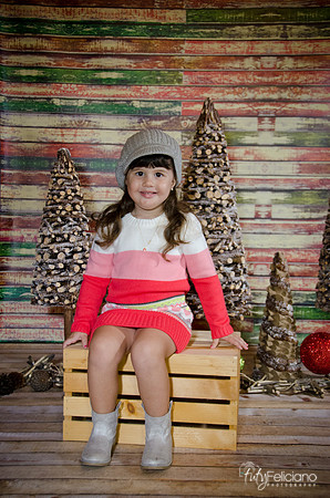 navidad 2014-2802
