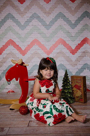 Shooting navideno 2013-2-2531