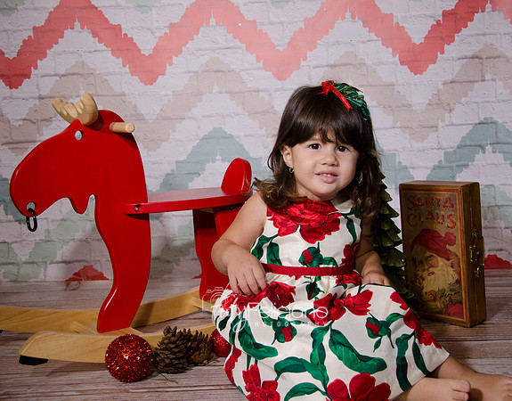 Shooting navideno 2013-2-2522