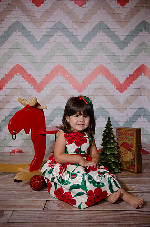 Shooting navideno 2013-2-2532