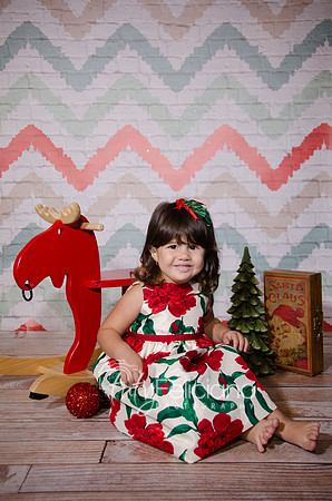 Shooting navideno 2013-2-2524