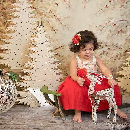 Navidad-15962