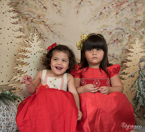 Navidad-15550