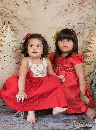 Navidad-15674