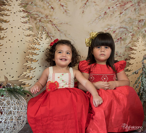 Navidad-15541