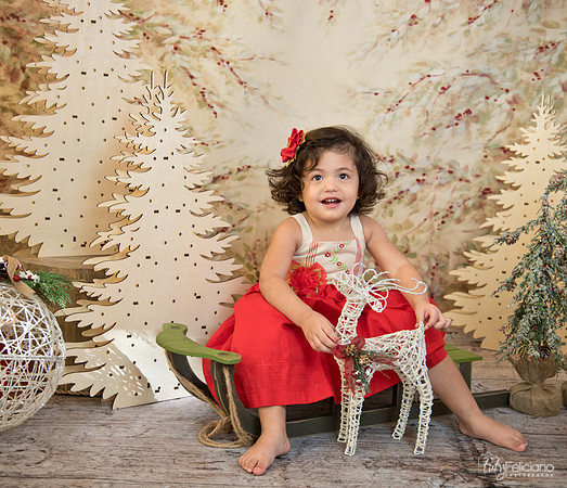 Navidad-15631