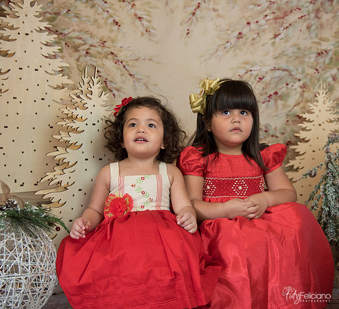 Navidad-15537