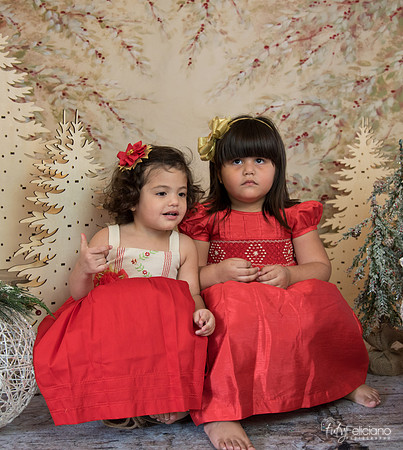Navidad-15554