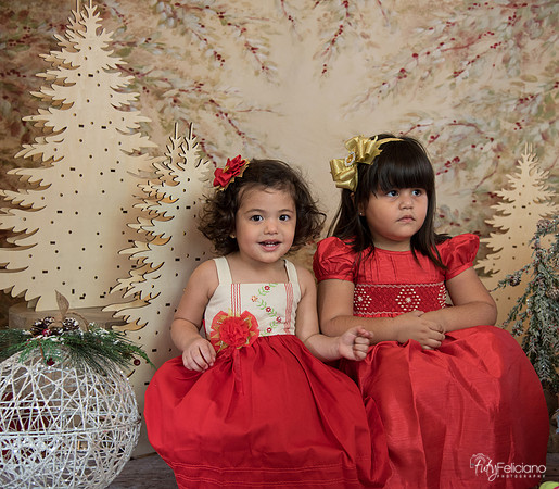 Navidad-15528