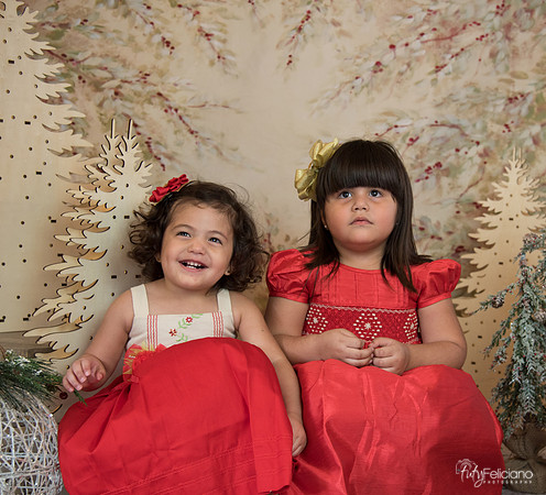Navidad-15547