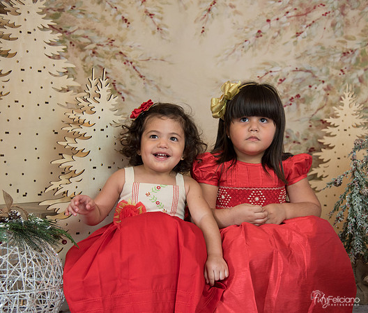 Navidad-15542