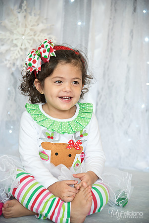 Navidad-15028