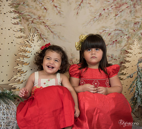 Navidad-15546
