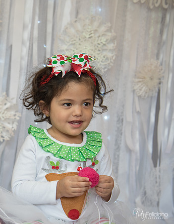 Navidad-15326