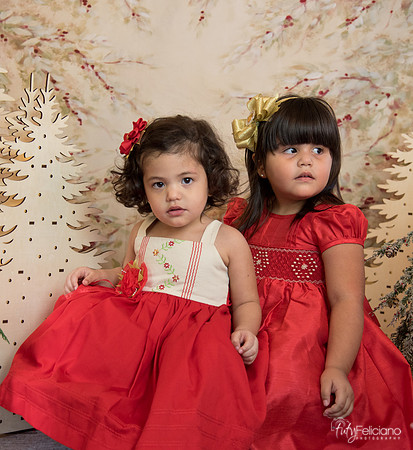 Navidad-15584