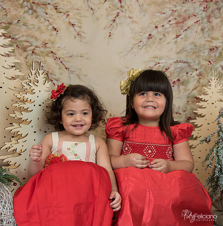 Navidad-15560