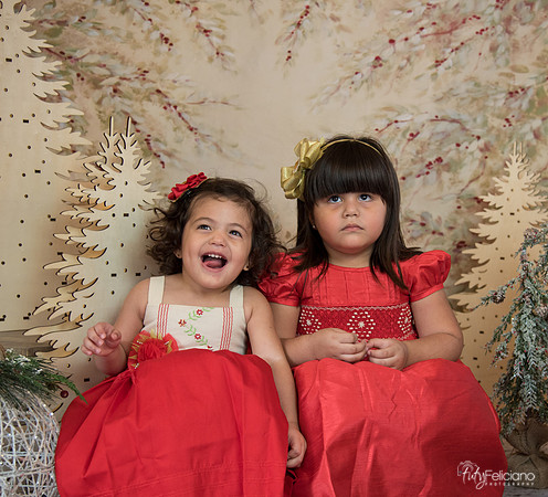 Navidad-15548