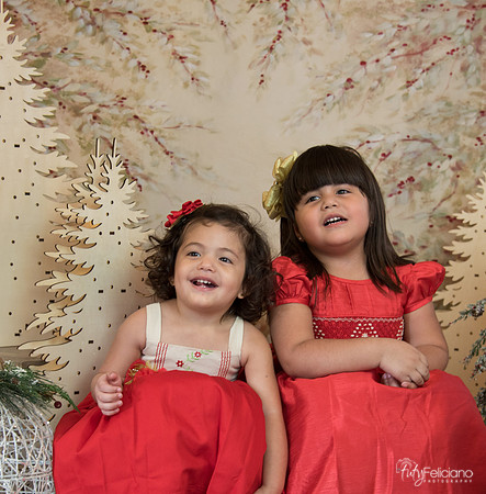 Navidad-15567