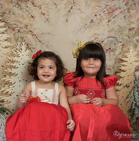Navidad-15561