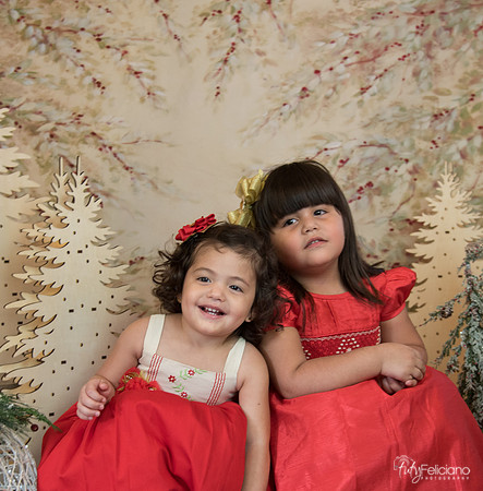 Navidad-15566
