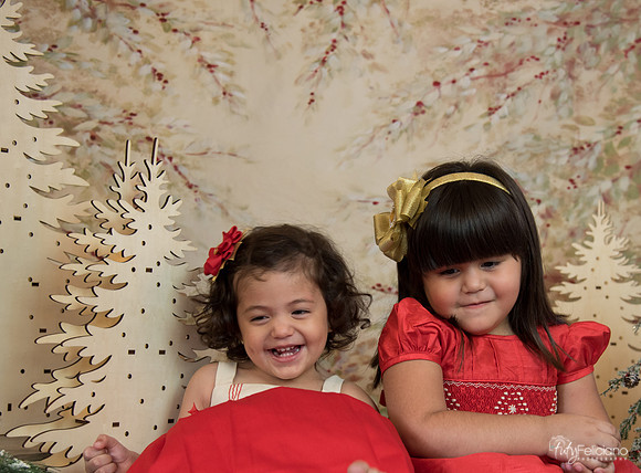 Navidad-15579