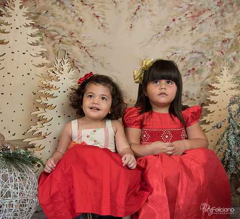 Navidad-15536
