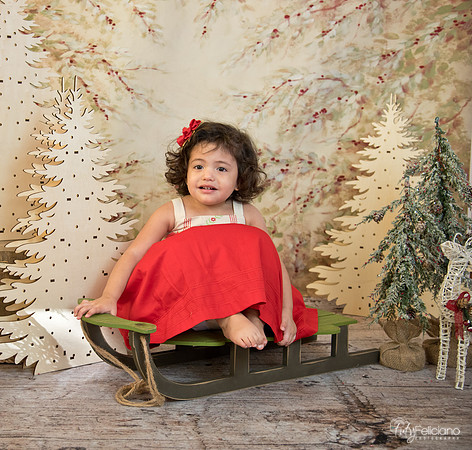 Navidad-15644