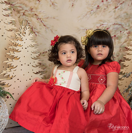 Navidad-15586