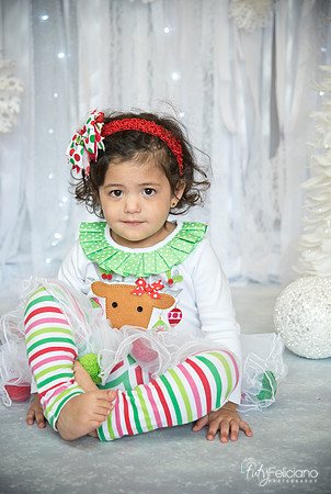 Navidad-15009