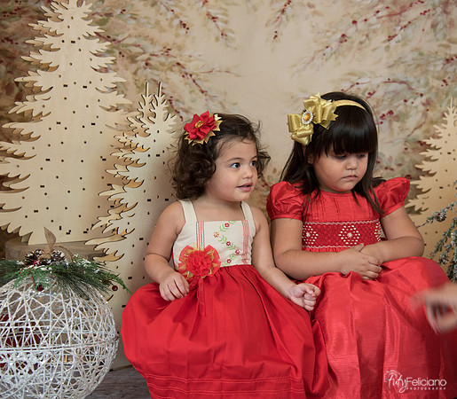 Navidad-15530