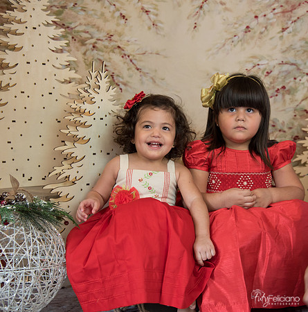Navidad-15543