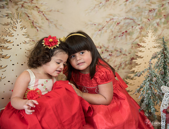 Navidad-16005