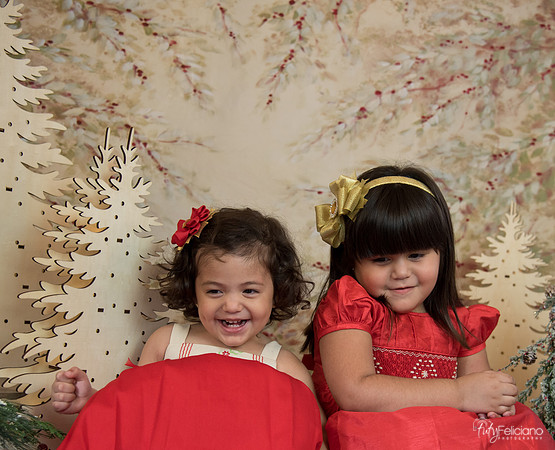 Navidad-15581