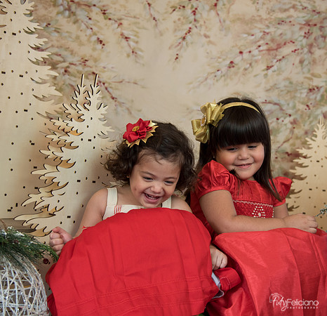 Navidad-15582