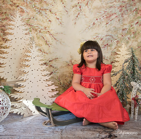 Navidad-15683
