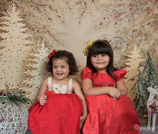 Navidad-15571
