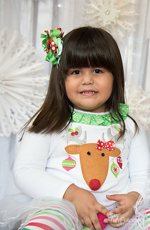Navidad-15253