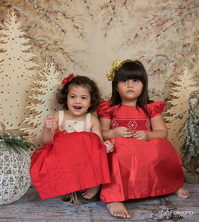 Navidad-15551