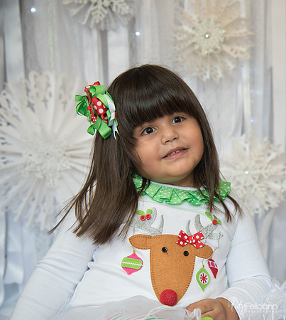 Navidad-15310