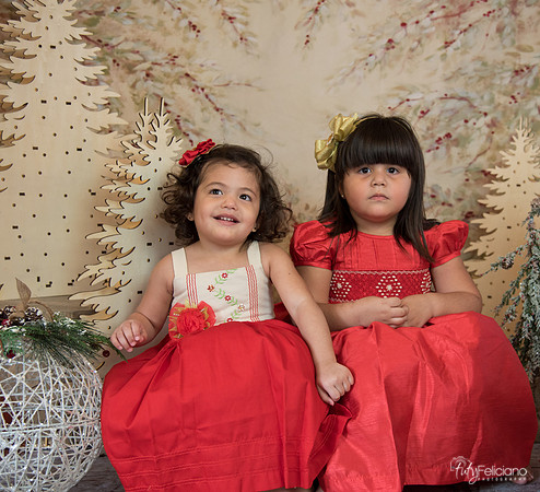 Navidad-15540