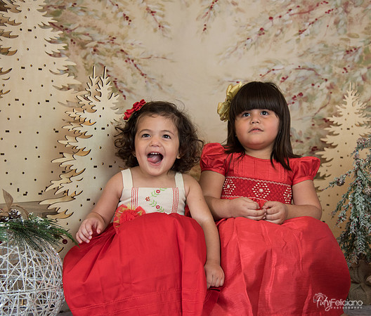 Navidad-15545