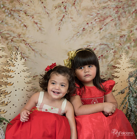 Navidad-15568