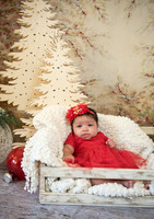 Navidad-9978