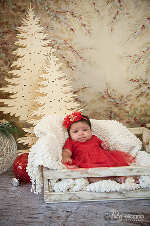Navidad-9982