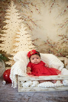 Navidad-9966