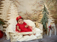 Navidad-9954